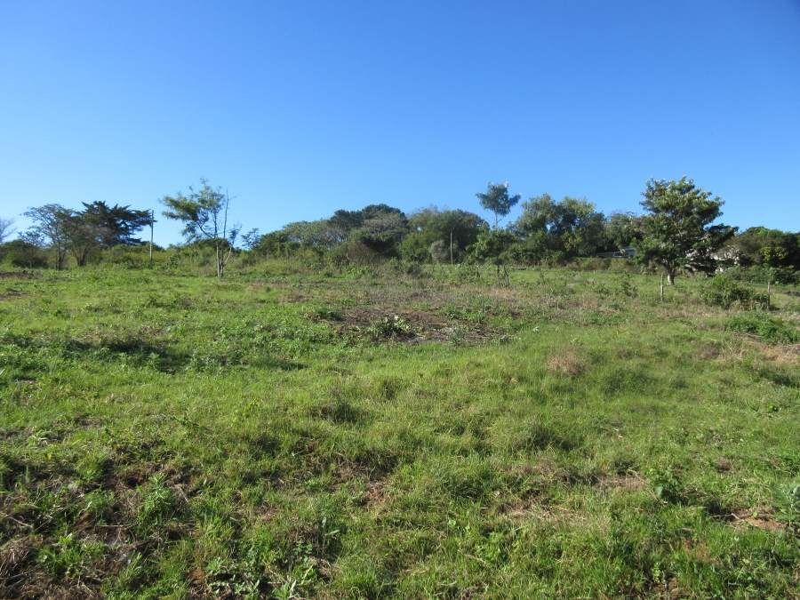 0 Bedroom Property for Sale in Bathurst Eastern Cape